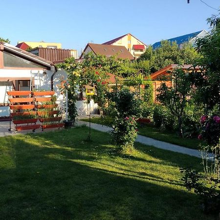 Апартаменты Casa Ienciu Сибиу Экстерьер фото