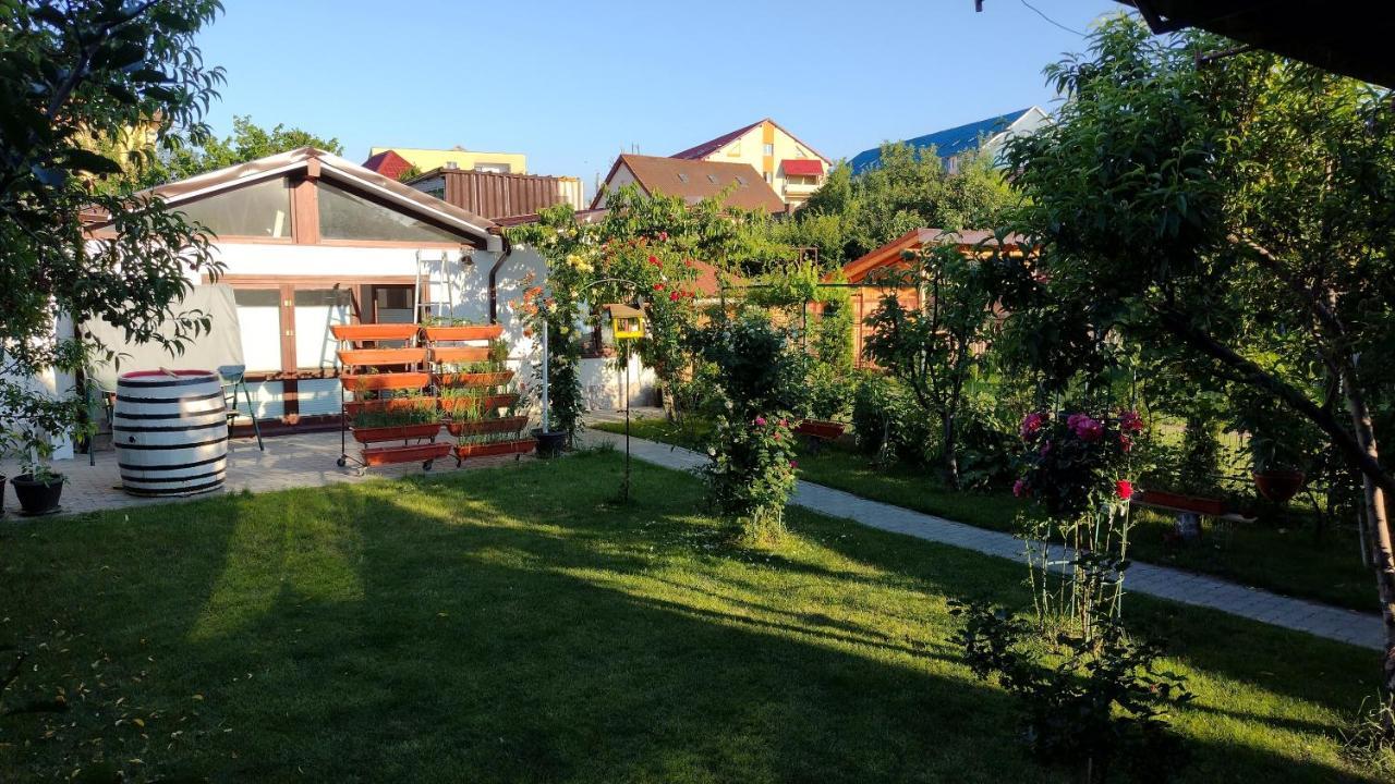 Апартаменты Casa Ienciu Сибиу Экстерьер фото